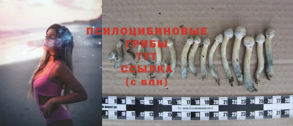 синтетический гашиш Каменногорск