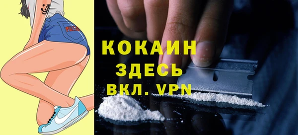 дмт Инсар