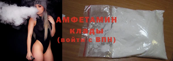 твердый Инта