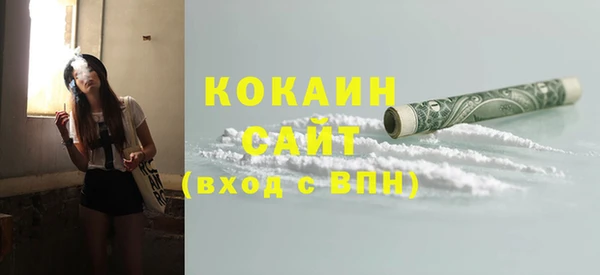твердый Инта