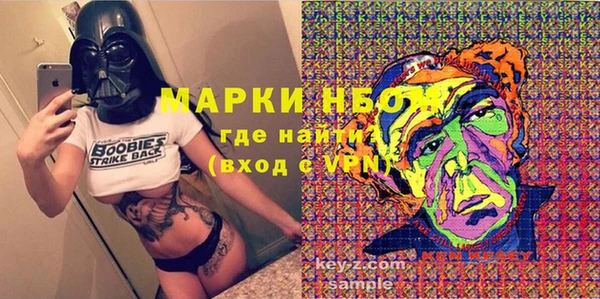 дмт Инсар