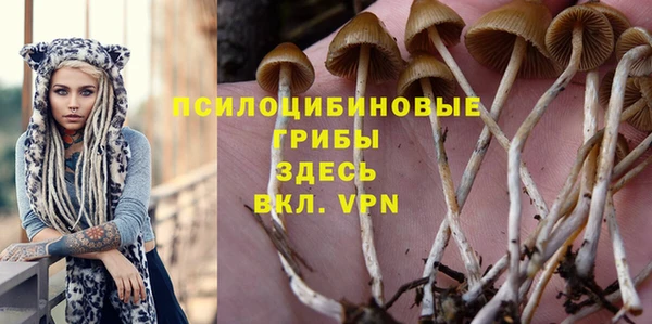 твердый Инта