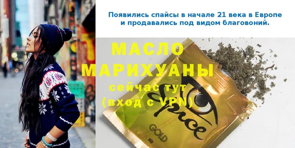 дмт Инсар