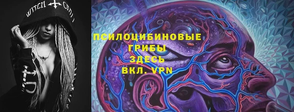 дмт Инсар