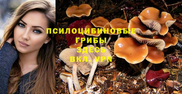 твердый Инта