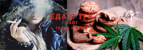 твердый Инта