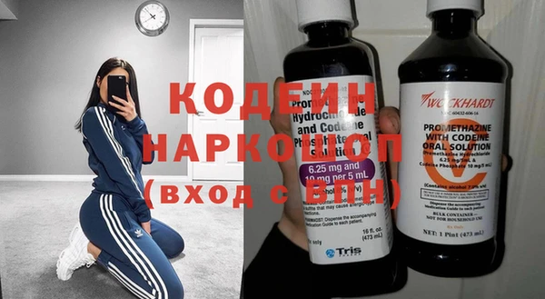 дмт Инсар